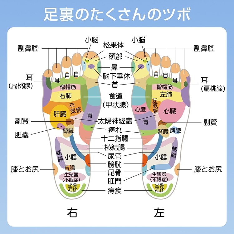 足つぼマット 足ツボマット 指圧ボード 55cm 円形 水洗い可能 磁石付き 滑りにくい フットマッサージ 足裏マッサージ フットケア 疲労軽減 ストレス解消 足痛み de166 - 画像 (7)