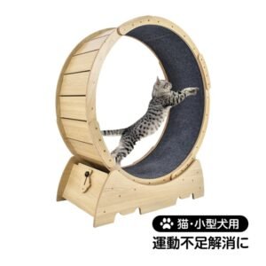 キャットホイール 猫 ランニングホイール ペットホイール ストッパ一付き 自走式 運動不足解消 ダイエット 低騒音 怪我防止 小型犬 ネコ pt071